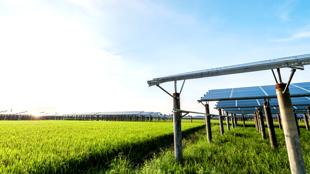 agricultural-&-rural-solar-solutions